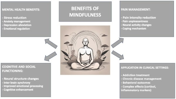 neuroscience-benefits-mindfulness-meditation-biodynamic-craniosacral-therapy